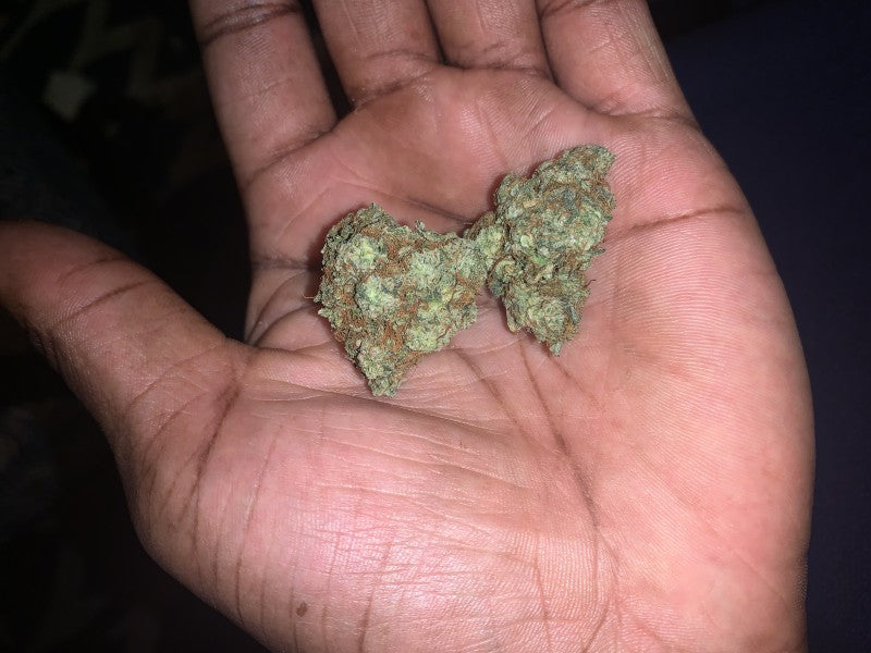 Jungle Cake Hybrid - Indoor AAA Cannabis 20g | Dis-can Johannesburg - image 5