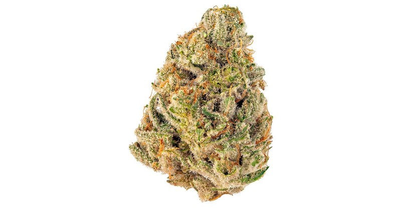 King Java Hybrid - Indoor Premium Cannabis 3g | Dis-can Johannesburg - image 3