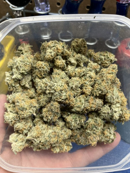 King Java Hybrid - Indoor Premium Cannabis 3g | Dis-can Johannesburg - image 4