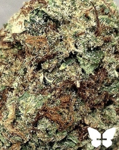 Kush Berry Hybrid - Tunnel Cannabis 1g | Dis-can Johannesburg - image 1