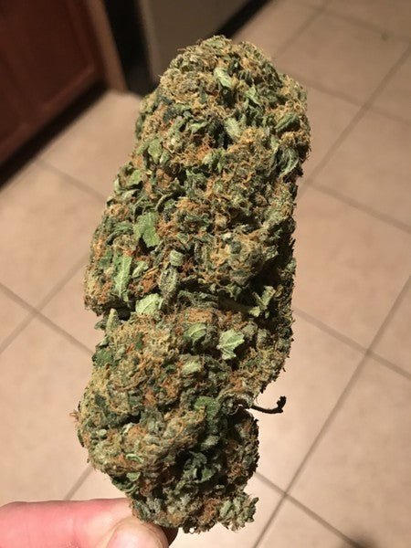 Kush Berry Hybrid - Tunnel Cannabis 1g | Dis-can Johannesburg - image 4