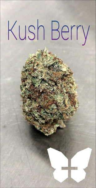 Kush Berry Hybrid - Tunnel Cannabis 1g | Dis-can Johannesburg - image 6