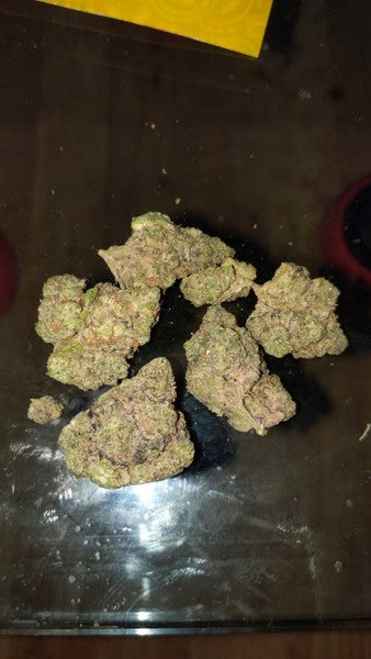 Kush Mints Hybrid - Popcorn Buds Cannabis 1g | Dis-can Johannesburg - image 2