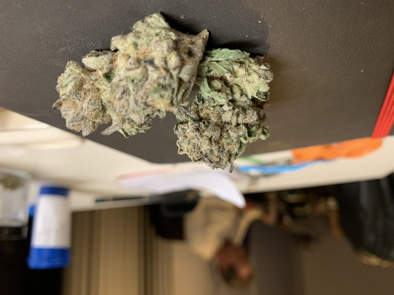 Kush Mints Hybrid - Popcorn Buds Cannabis 1g | Dis-can Johannesburg - image 9