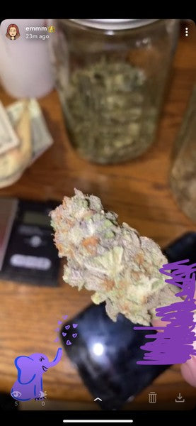 Kush Mints Hybrid - Popcorn Buds Cannabis 1g | Dis-can Johannesburg - image 10