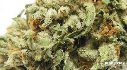 LA Confidential Indica - Popcorn Buds Cannabis 3g | Johannesburg | Dis-can - image 1