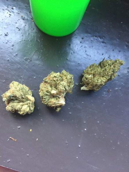 LA Confidential Indica - Popcorn Buds Cannabis 3g | Johannesburg | Dis-can - image 5