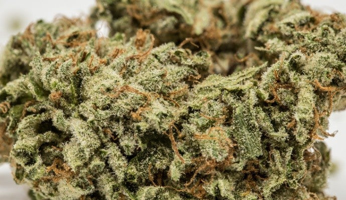 LA Confidential Indica - Popcorn Buds Cannabis 3g | Johannesburg | Dis-can - image 16