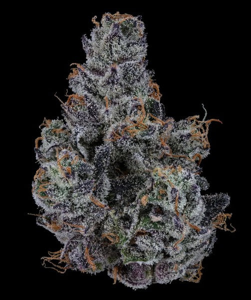 Lemon Cherry Gelato Hybrid - Indoor AAA Cannabis 10g | Dis-can Johannesburg - image 1