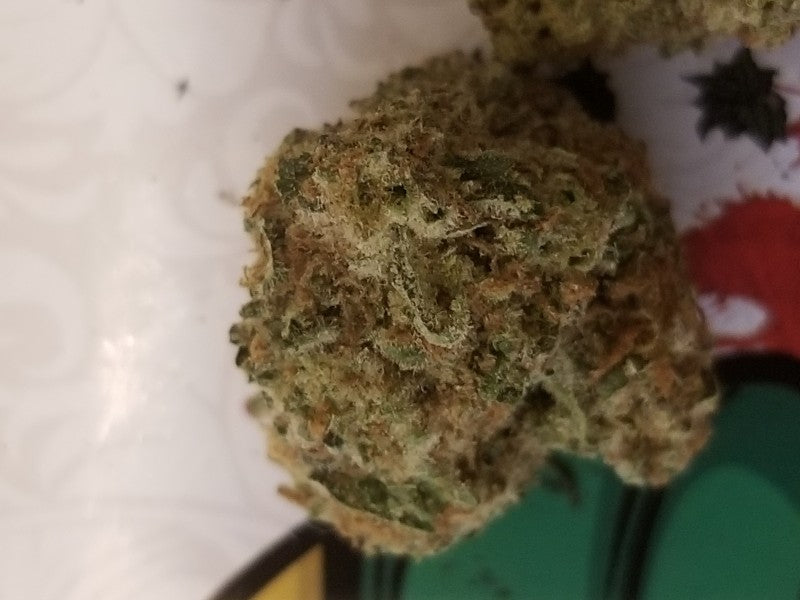 Lemon Cherry Gelato Hybrid - Indoor AAA Cannabis 10g | Dis-can Johannesburg