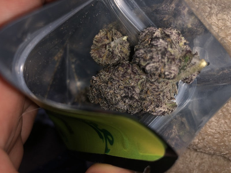 Lemon Cherry Gelato Hybrid - Indoor AAA Cannabis 10g | Dis-can Johannesburg - image 4