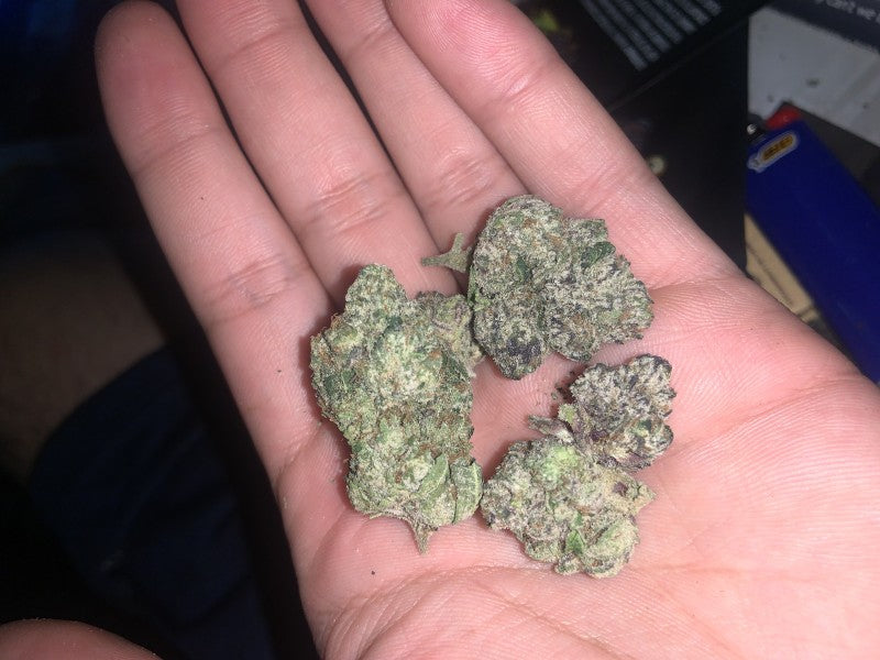 Lemon Cherry Gelato Hybrid - Indoor AAA Cannabis 10g | Dis-can Johannesburg - image 5