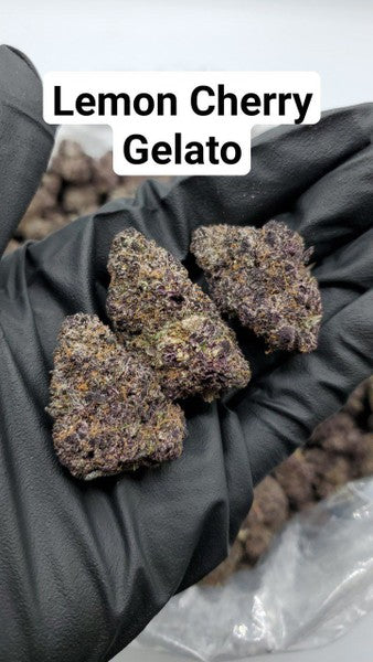 Lemon Cherry Gelato Hybrid - Indoor AAA Cannabis 10g | Dis-can Johannesburg