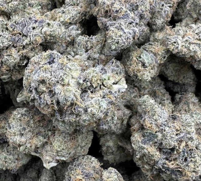Lemon Cherry Gelato Hybrid - Indoor AAA Cannabis 10g | Dis-can Johannesburg