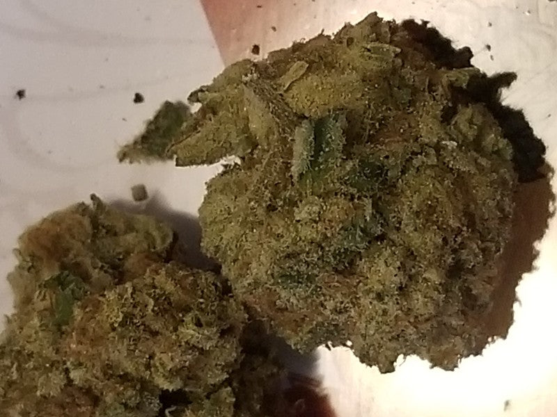 Lemon Cherry Gelato Hybrid - Indoor AAA Cannabis 10g | Dis-can Johannesburg - image 14