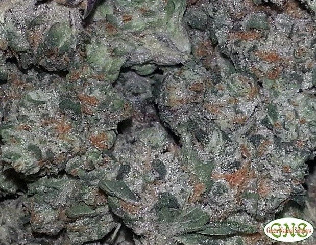 Lemon Haze Sativa - Indoor Premium Cannabis 3g | Johannesburg | Dis-can