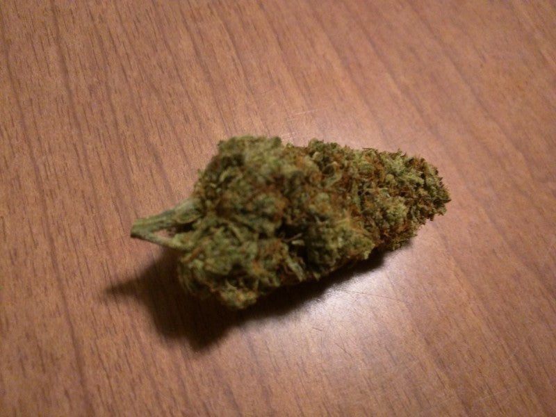 Lemon Haze Sativa - Indoor Premium Cannabis 3g | Johannesburg | Dis-can