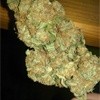 Lemon Haze Sativa - Indoor Premium Cannabis 3g | Johannesburg | Dis-can