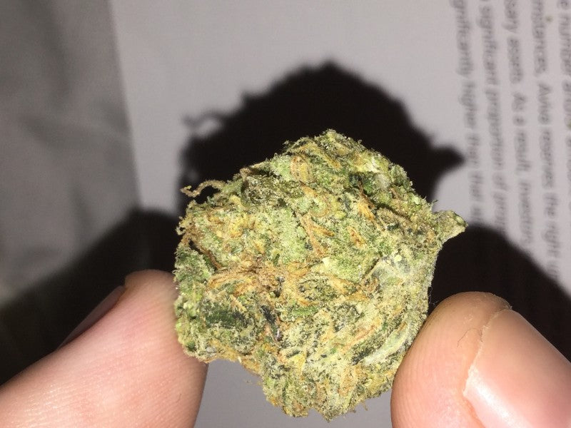 Lemon Haze Sativa - Indoor Premium Cannabis 3g | Johannesburg | Dis-can - image 4