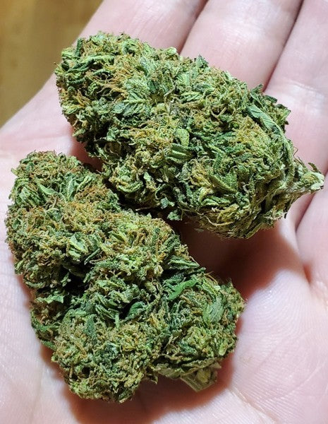Lemon Haze Sativa - Indoor Premium Cannabis 3g | Johannesburg | Dis-can - image 5