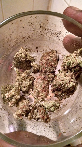 Lemon Haze Sativa - Indoor Premium Cannabis 3g | Johannesburg | Dis-can - image 6