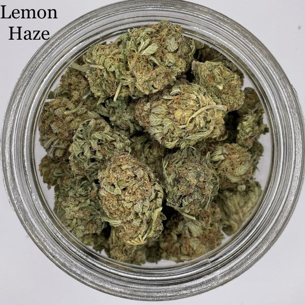 Lemon Haze Sativa - Indoor Premium Cannabis 3g | Johannesburg | Dis-can