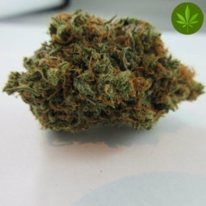 Lemon Haze Sativa - Indoor Premium Cannabis 3g | Johannesburg | Dis-can
