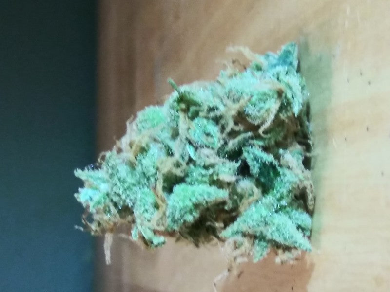 Lemon Haze Sativa - Indoor Premium Cannabis 3g | Johannesburg | Dis-can - image 13