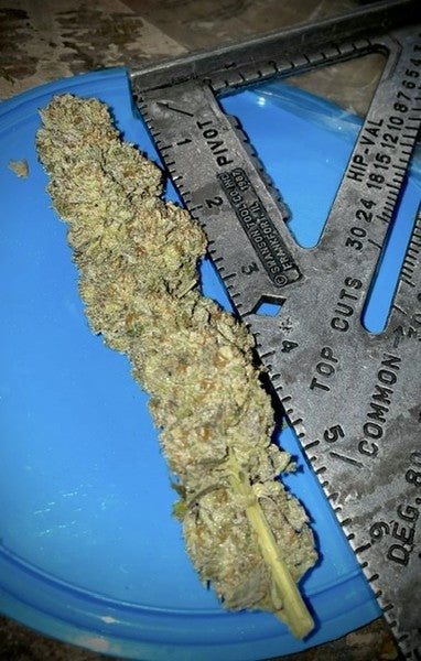 Lemon OG Kush Indica - Indoor AAA Cannabis 20g | Johannesburg | Dis-can - image 1