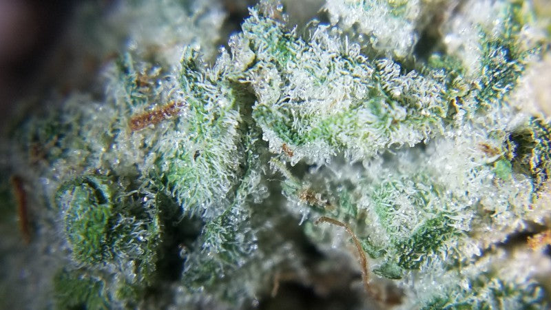 Lemon OG Kush Indica - Indoor AAA Cannabis 20g | Johannesburg | Dis-can - image 2