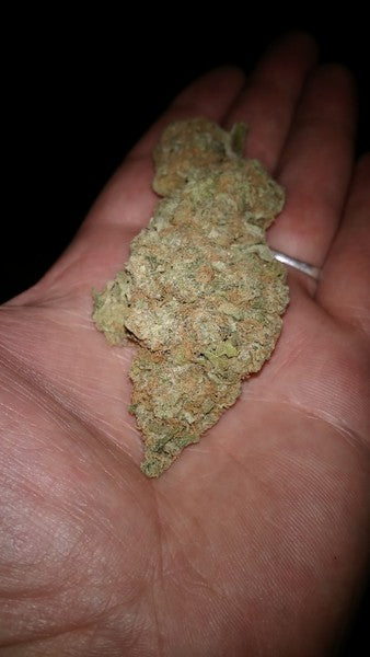 Lemon OG Kush Indica - Indoor AAA Cannabis 20g | Johannesburg | Dis-can - image 3