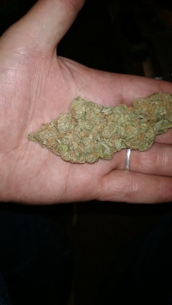 Lemon OG Kush Indica - Indoor AAA Cannabis 20g | Johannesburg | Dis-can - image 4