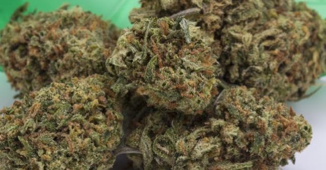 Lemon OG Kush Indica - Indoor AAA Cannabis 20g | Johannesburg | Dis-can - image 5