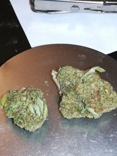 Miami Kush Hybrid - Indoor AAA Cannabis 20g | Dis-can Johannesburg - image 3