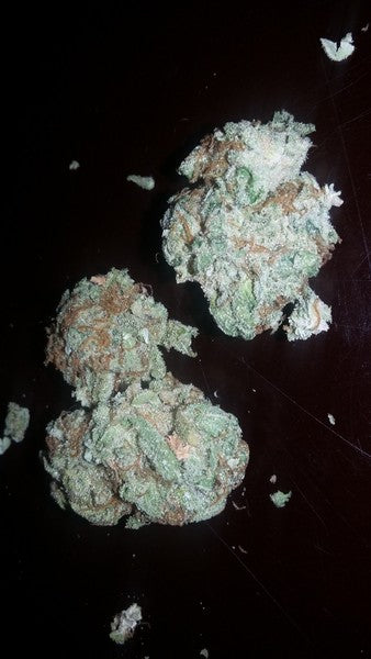 Miami Kush Hybrid - Indoor AAA Cannabis 20g | Dis-can Johannesburg - image 5