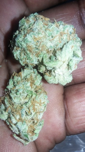 Miami Kush Hybrid - Indoor AAA Cannabis 20g | Dis-can Johannesburg - image 6