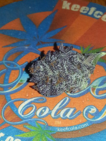 Miami Kush Hybrid - Indoor AAA Cannabis 20g | Dis-can Johannesburg - image 8