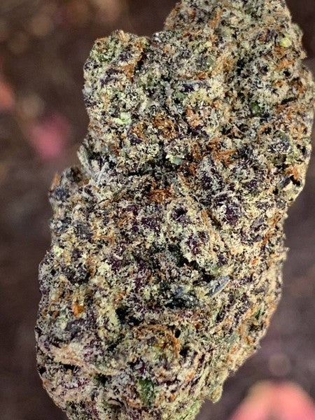 Milk Cookies Hybrid - Indoor AAA Cannabis 1g | Dis-can Johannesburg
