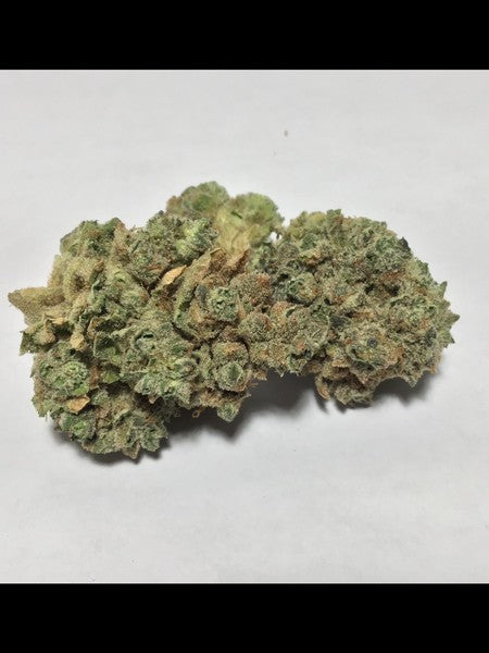 Mimosa Hybrid - Popcorn Buds Cannabis 1g | Dis-can Johannesburg