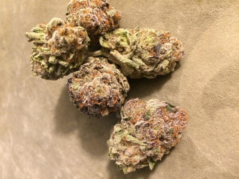 Mimosa Hybrid - Popcorn Buds Cannabis 1g | Dis-can Johannesburg - image 3