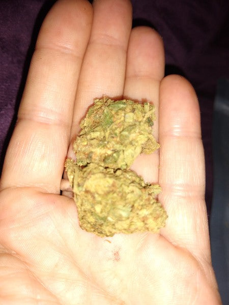 Mimosa Hybrid - Popcorn Buds Cannabis 1g | Dis-can Johannesburg - image 5