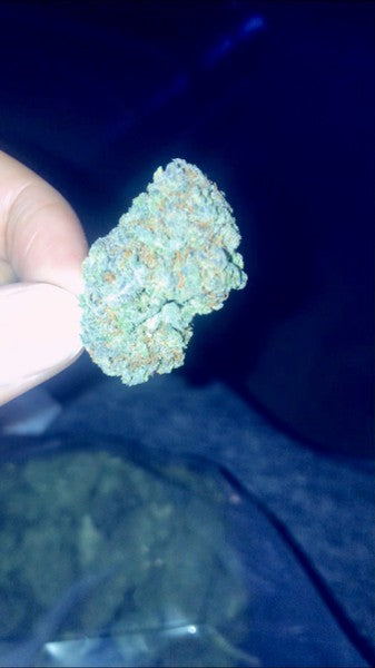 Mimosa Hybrid - Popcorn Buds Cannabis 1g | Dis-can Johannesburg - image 8