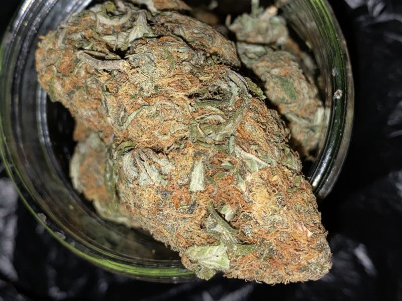 Mimosa Hybrid - Popcorn Buds Cannabis 1g | Dis-can Johannesburg - image 10