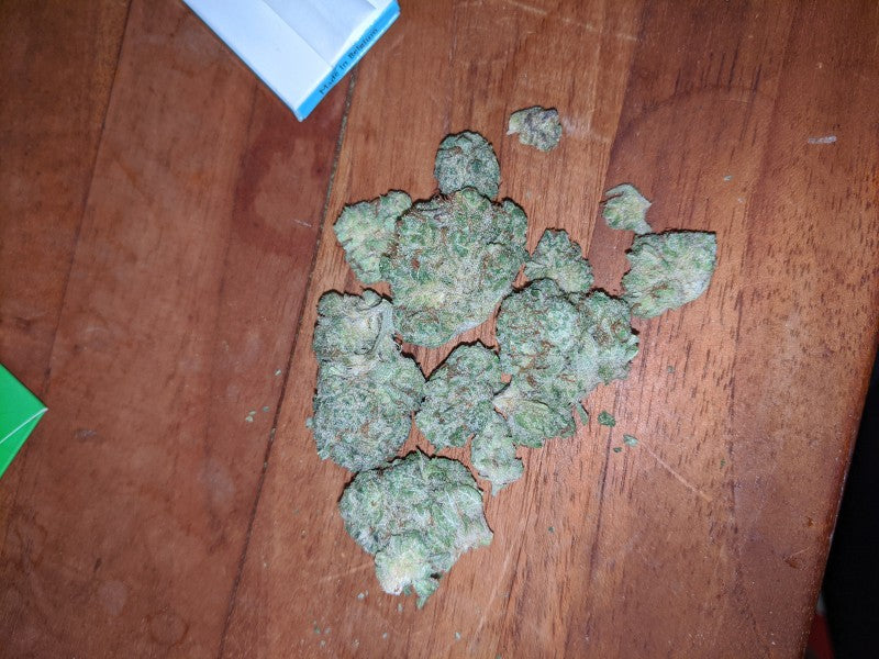 Mimosa Hybrid - Popcorn Buds Cannabis 1g | Dis-can Johannesburg - image 15