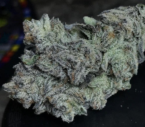 Mimosa Hybrid - Popcorn Buds Cannabis 1g | Dis-can Johannesburg - image 16