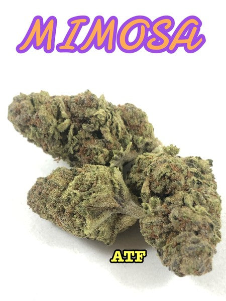 Mimosa Hybrid - Popcorn Buds Cannabis 1g | Dis-can Johannesburg