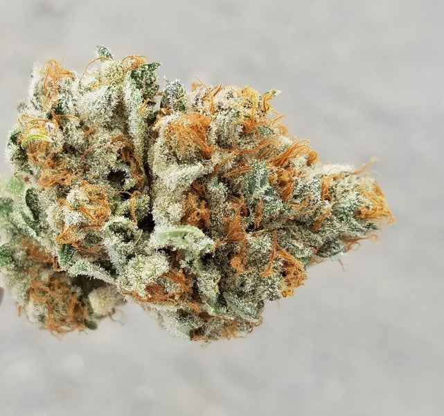 Mimosa Hybrid - Popcorn Buds Cannabis 1g | Dis-can Johannesburg - image 21