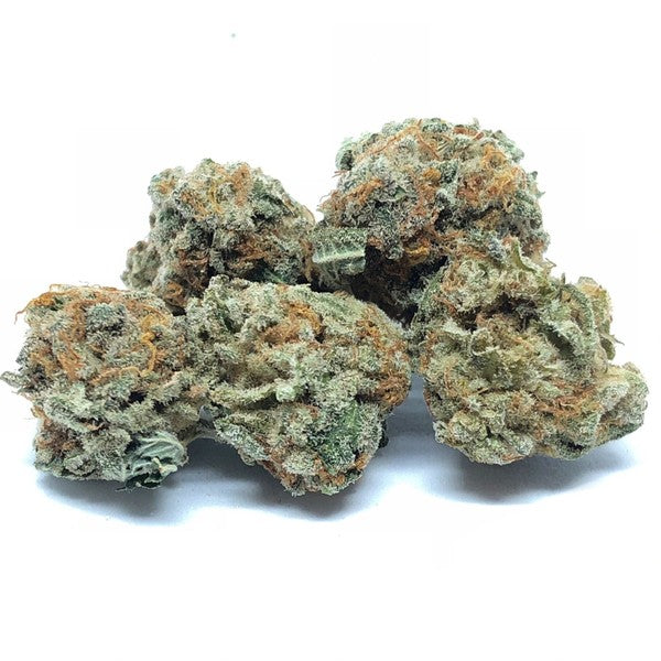 Mimosa Hybrid - Popcorn Buds Cannabis 1g | Dis-can Johannesburg - image 23