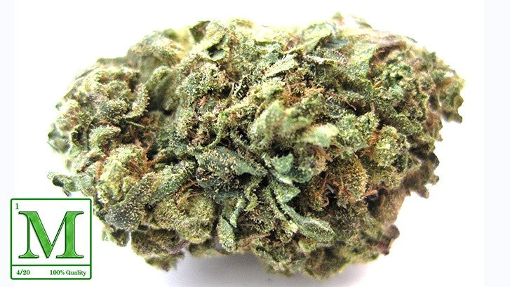 Mind Bender Hybrid - Tunnel Cannabis 1g | Dis-can Johannesburg