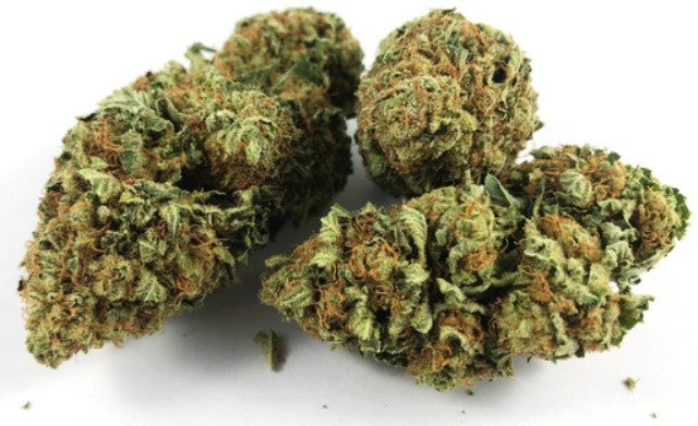 Mind Bender Hybrid - Tunnel Cannabis 1g | Dis-can Johannesburg - image 2